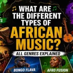 What Are the Different Types of African Music? All Genres Explained